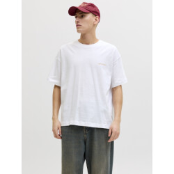 Jack & Jones Jormontauk back graphic tee sscn ea