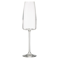 Casa di Elturo Set van 6 – kristallen champagne glazen ella – 34cl