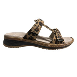 Ara 12-29003 hawaii
