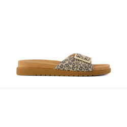 Toms 10023094 marin slide leopard