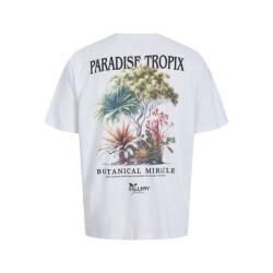 Jack & Jones Jorbotaniq tee ss crew neck tg ln