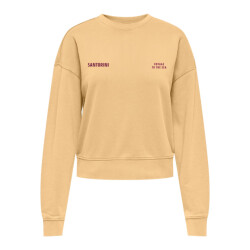 Only Onltabba ls round neck ub swt mango