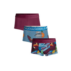 Muchachomalo Heren 3-pack trunks weird fruit