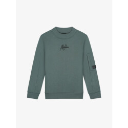 Malelions Jongens sweater turtle