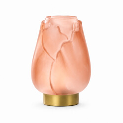 Casa di Elturo Led tafellamp tulipa glas – goudkleurige voet – Ø13 x 19,5 cm (werkt op