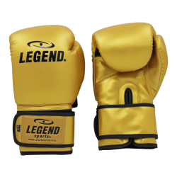 Legend Sports Powerfit & protect bokshandschoenen heren/dames pu