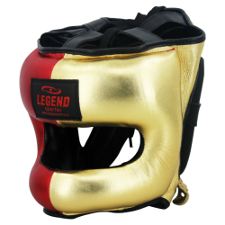 Legend Sports Hoofdbeschermer + neusbeschermer le golden boy