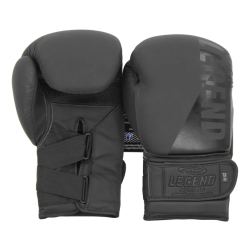 Legend Sports Wrist lock bokshandschoenen heren/dames mat leer