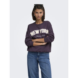 Jacqueline de Yong Jdymesa l/s o-neck emb sweat jrs no