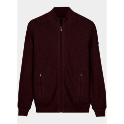 Baileys Vest heren cardigan zip structure knit. 622186/495