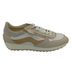 DL Sport 6988 vers 01