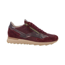 DL Sport 7140 vers 04