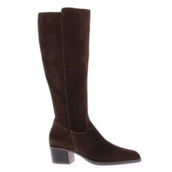 DL Sport 6824 vers 02