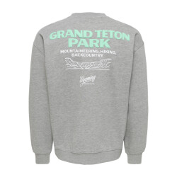 Only & Sons Only & sons onsbejmo sweatshirt
