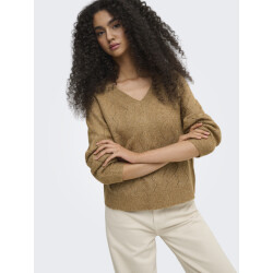 Jacqueline de Yong Jdyaspen life l/s v-neck pullover k