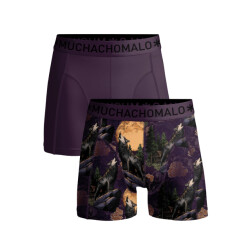 Muchachomalo Boys 2-pack boxer shorts print/solid