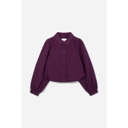 Aaiko rpes 345 sandy 192514 italian plum