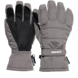Sinner vertana ski handschoenen heren -multicolour