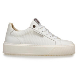 Floris van Bommel Sfw-10106