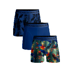 Muchachomalo Boys 3-pack short //solid