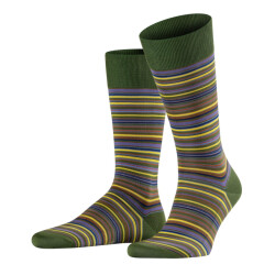 Falke 1441