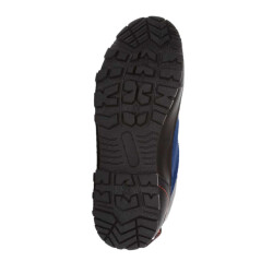 Regatta Heren blackthorn evo wandelschoenen