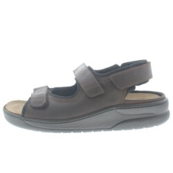 Mephisto Valden