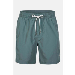 O'Neill Swimshort