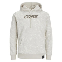 Jack & Jones Jcoaop luner sweat hood