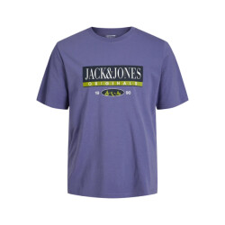 Jack & Jones Jorwalter tee
