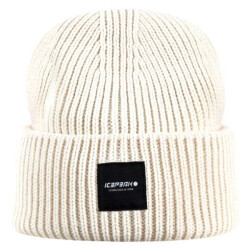 Icepeak hanamaulu -