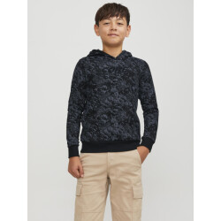 Jack & Jones Jcoaop luner sweat hood smu jnr