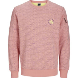 Jack & Jones Jcoaop chestprint sweat crew neck