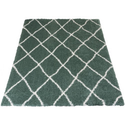 Veer Carpets Vloerkleed jeffie green 160 x 230 cm