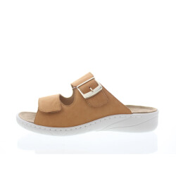 Solidus Wellness spezial